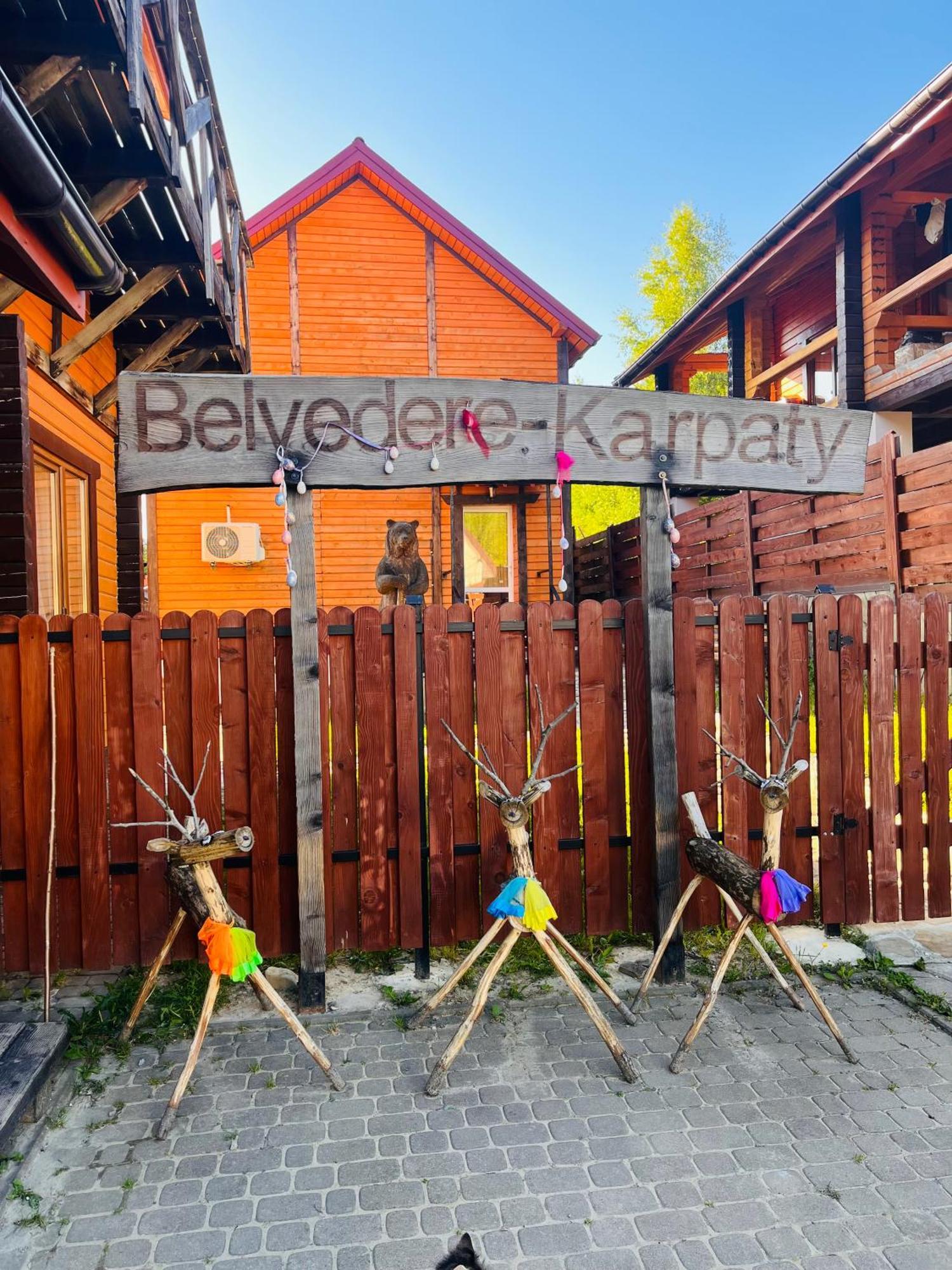 Belvedere-Karpaty-Panorama Skhidnytsia Exterior foto
